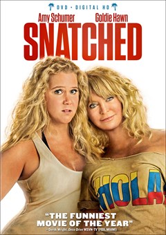 Snatched DVD Box Art
