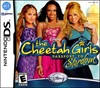 Rent Cheetah Girls: Passport to Stardom for DS
