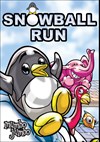 Download Snowball Run for PC