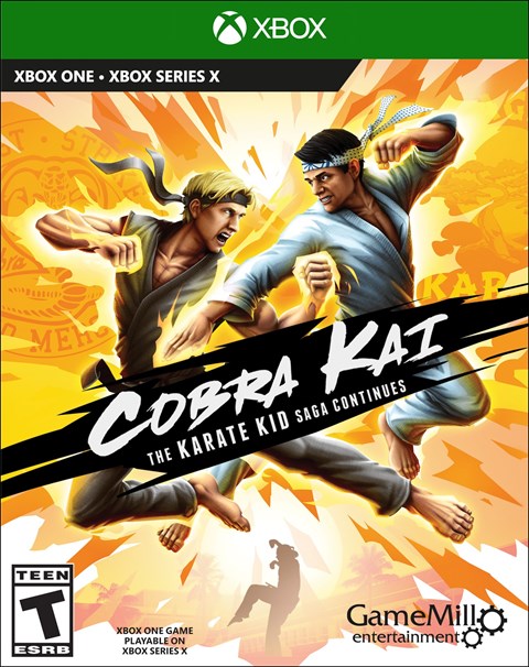 Cobra Kai The Karate Kid Saga Continues Switch