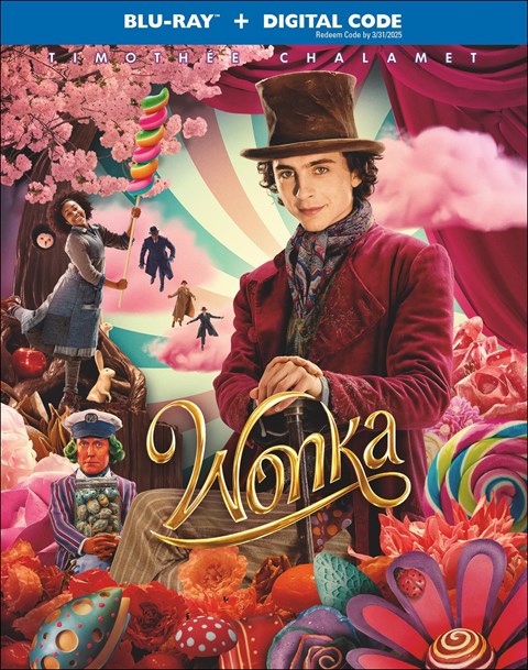 Rent Wonka on Blu-ray | GameFly