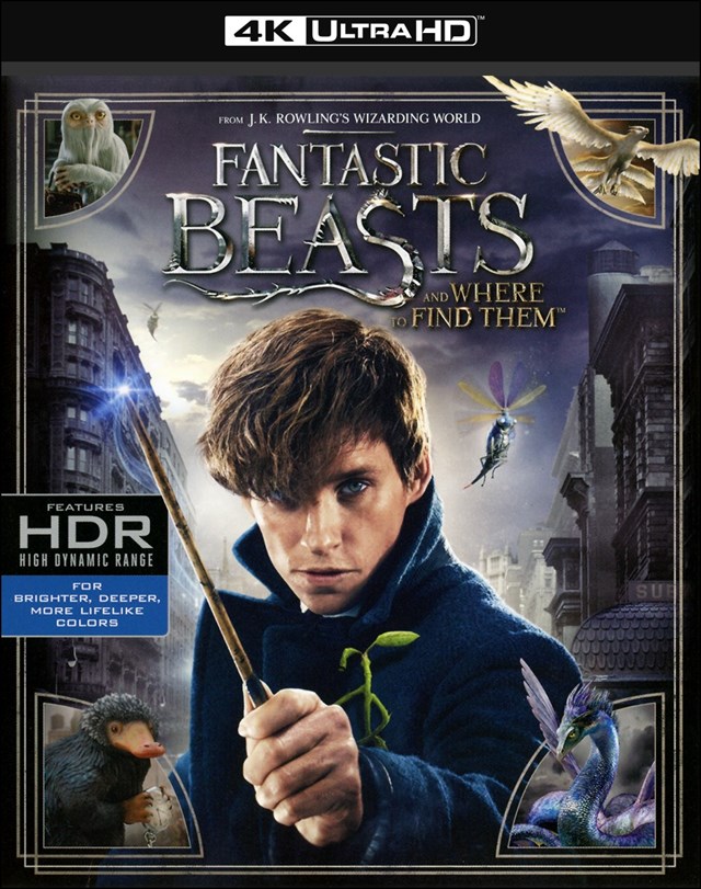 Fantastic Beasts and Where to Find Them