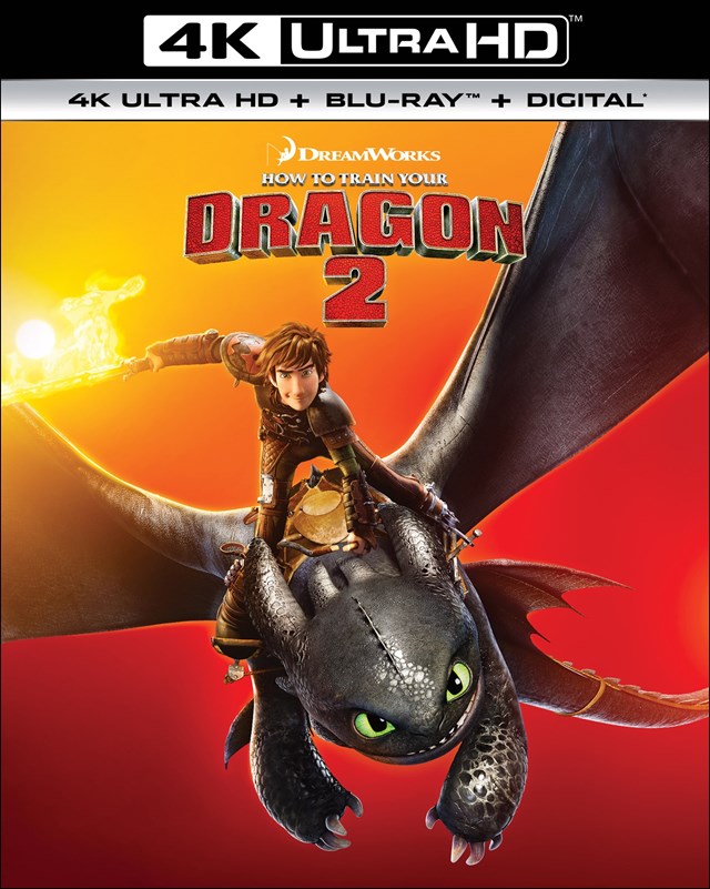 How to Train Your Dragon 2