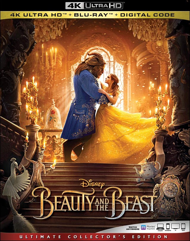 Beauty and The Beast