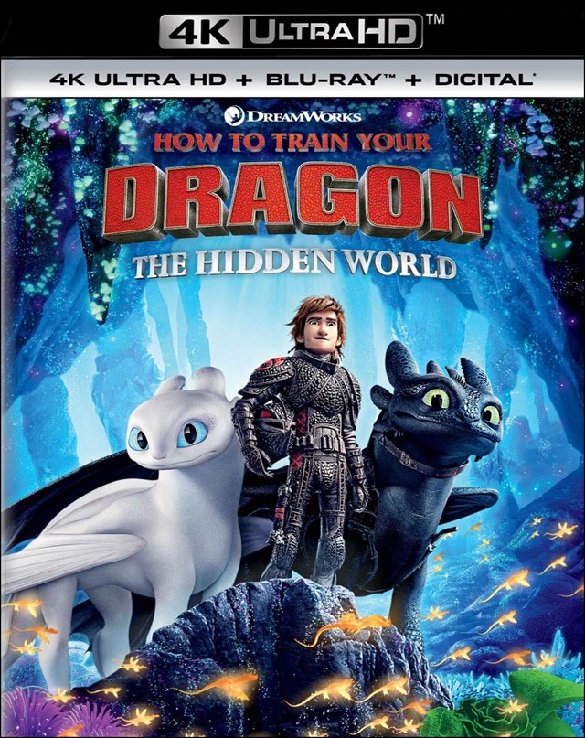 How to Train Your Dragon: The Hidden World