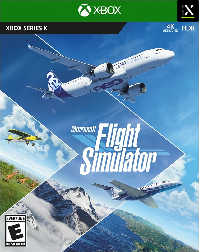 Flight Simulator