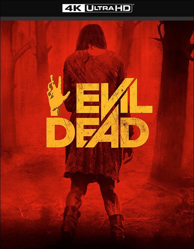 Evil Dead (2013)