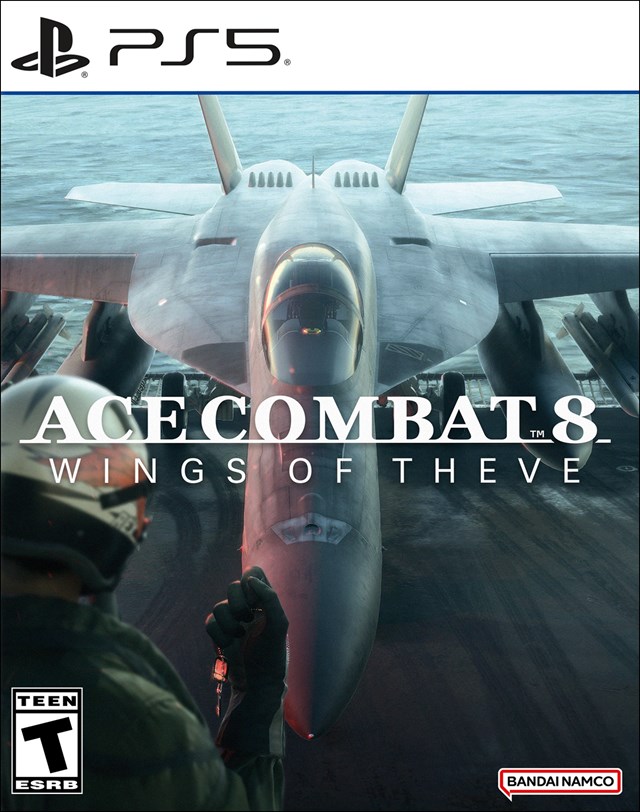 Ace Combat 8: Wings of Theve cover